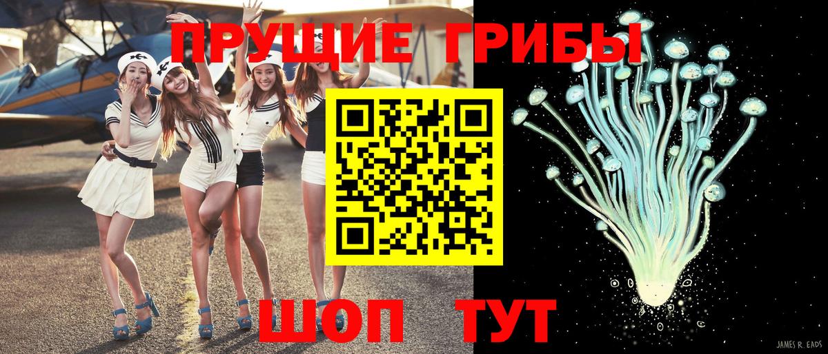 Псилоцибиновые грибы Psilocybine cubensis  Вход с VPN  Красноперекопск 