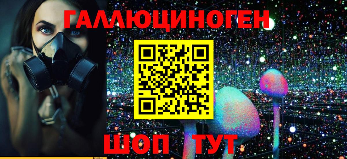 Галлюциногенные грибы Psilocybe Красноперекопск